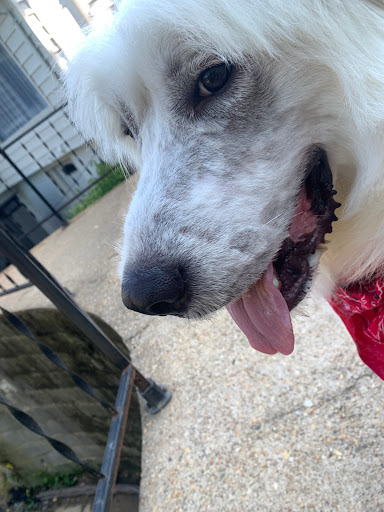 Pet Supply Store «PetSmart», reviews and photos, 13337 Worth Ave, Woodbridge, VA 22192, USA