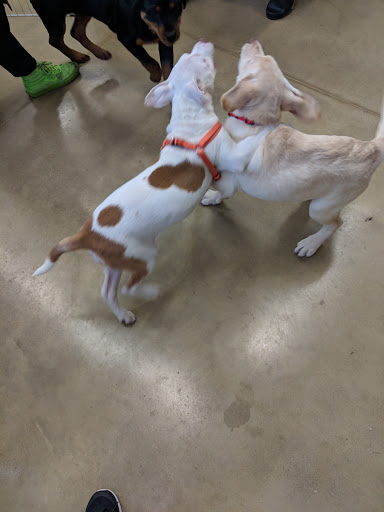 Pet Supply Store «Petco Animal Supplies», reviews and photos, 28400 Dequindre Rd, Warren, MI 48092, USA