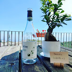 Photo n°2 de l'avis de Lorenzo.a fait le 18/07/2023 à 16:17 sur le  Caffè Floridi_Campocatino à Campocatino