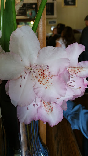 Cafe «The South Store Cafe», reviews and photos, 24485 SW Scholls Ferry Rd, Hillsboro, OR 97123, USA