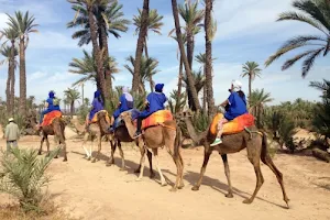 Excursion en Marrakech image
