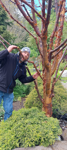 Art Museum «Bainbridge Island Museum of Art», reviews and photos, 550 Winslow Way E, Bainbridge Island, WA 98110, USA