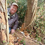 Photo n°8 de l'avis de irene.o fait le 09/12/2023 à 15:39 sur le  Ristorante Al Torcio à Chiampo