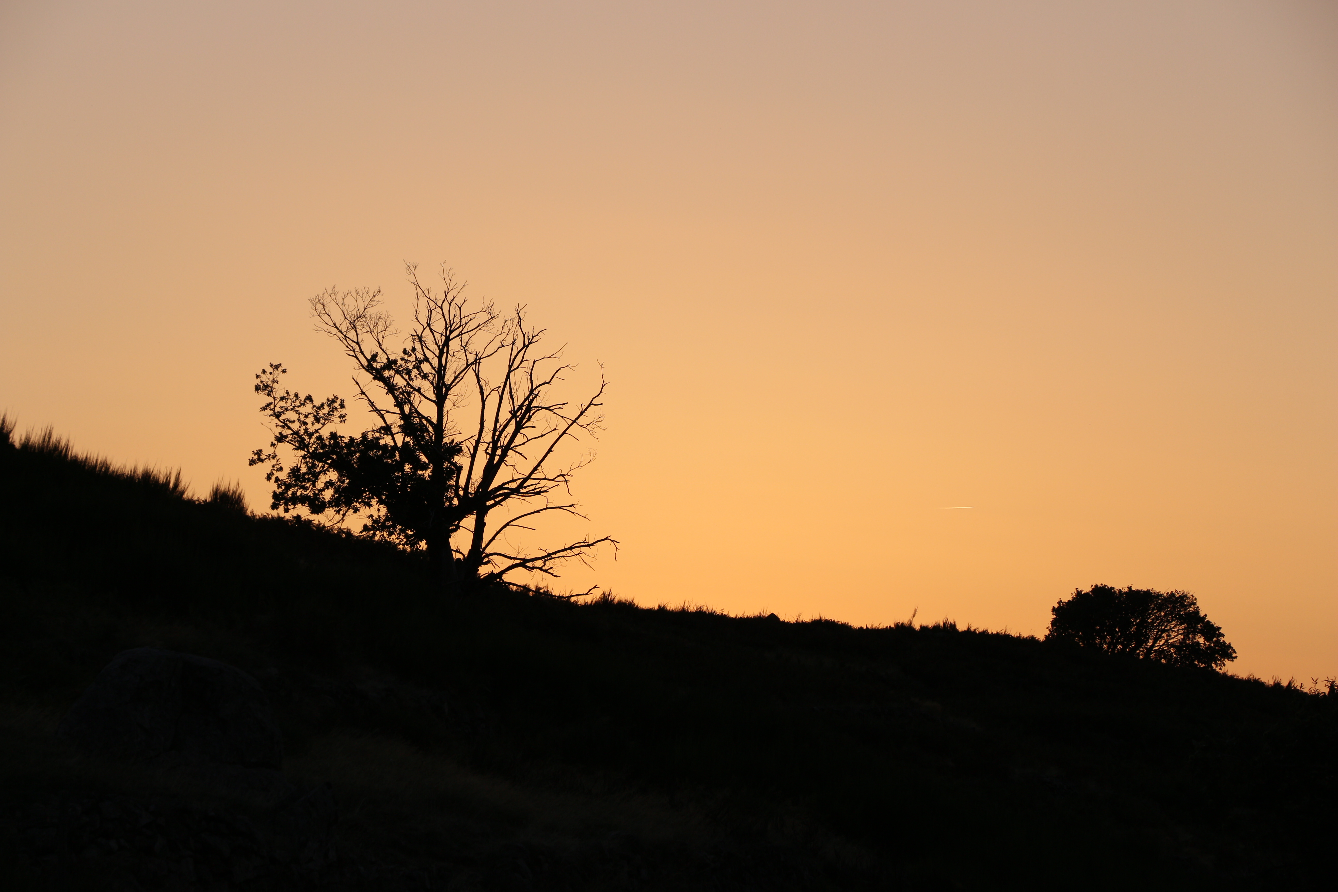 Photo n° 7 de l'avis de Benjamin.e fait le 11/06/2019 à 06:52