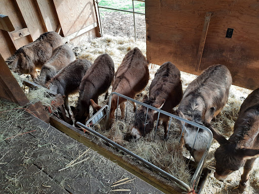 Tourist Attraction «Tollen Farm», reviews and photos, 11681 SW Tooze Rd, Wilsonville, OR 97070, USA