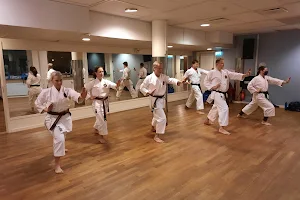 Bromma Karateklubb image