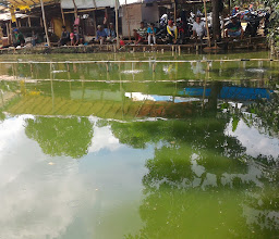 Fishing Bang Arman photo