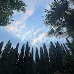 Photo n°5 de l'avis de Abdulrahman.l fait le 29/06/2023 à 18:50 sur le  Villa Cortine à Sirmione