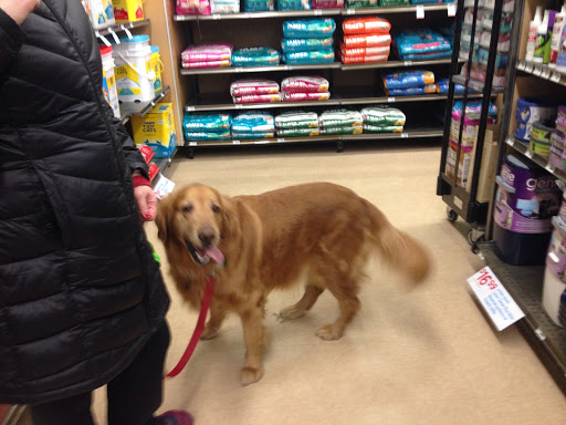 Pet Supply Store «Petco Animal Supplies», reviews and photos, 4161 N Harlem Ave, Norridge, IL 60706, USA