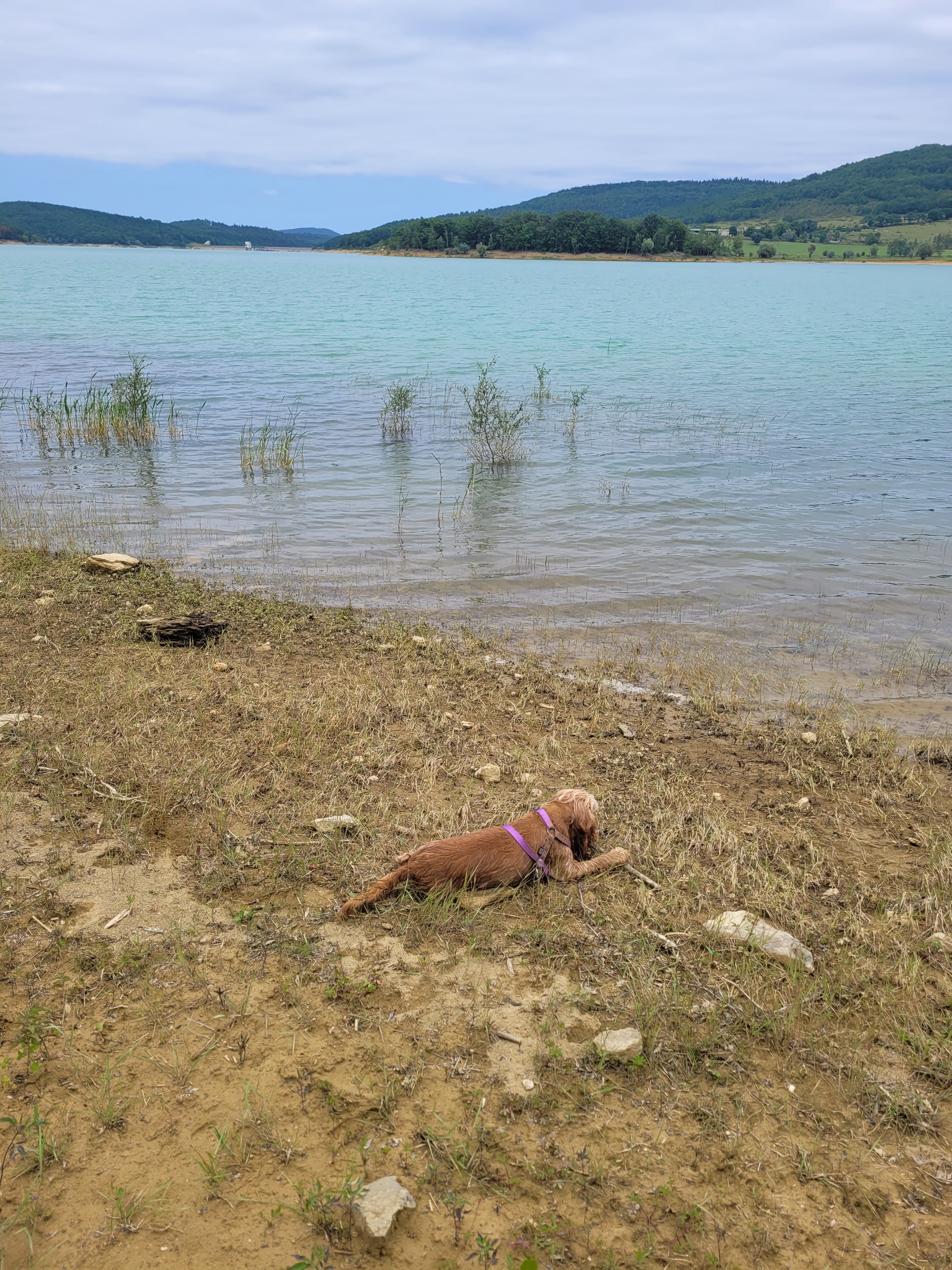 Photo n° 2 de l'avis de Kilian.e fait le 20/07/2023 à 04:06
