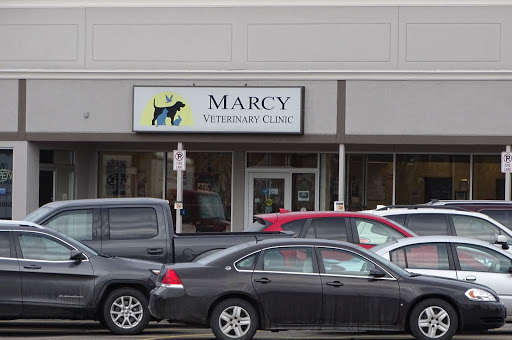Marcy Veterinary Clinic image 3