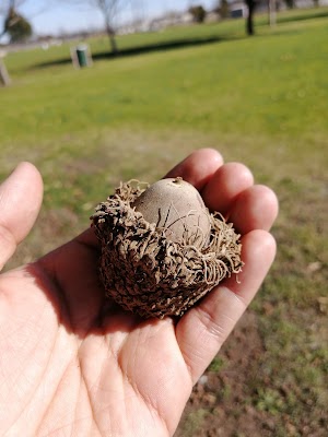 San Gabriel Park - photo 19