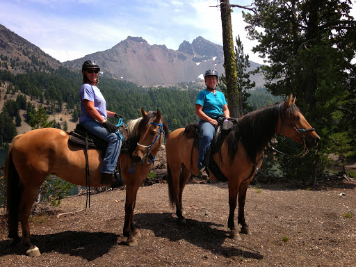 Pet Supply Store «McKenzie Feed and Pet Supply», reviews and photos, 4441 Main St, Springfield, OR 97478, USA