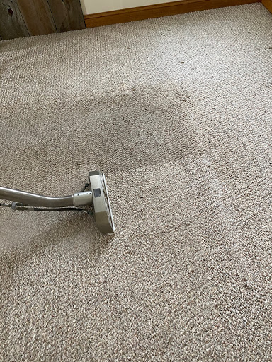 O. G Professional Carpet Care