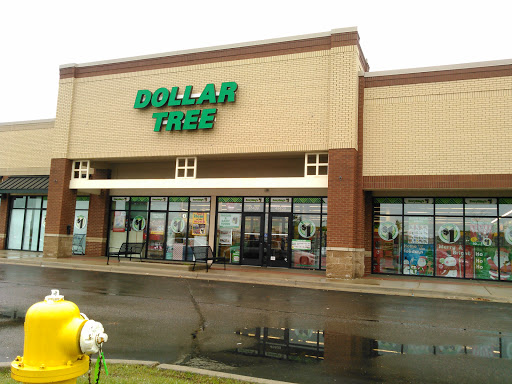 Dollar Tree, 45409 Marketplace Blvd, Chesterfield, MI 48051, USA, 