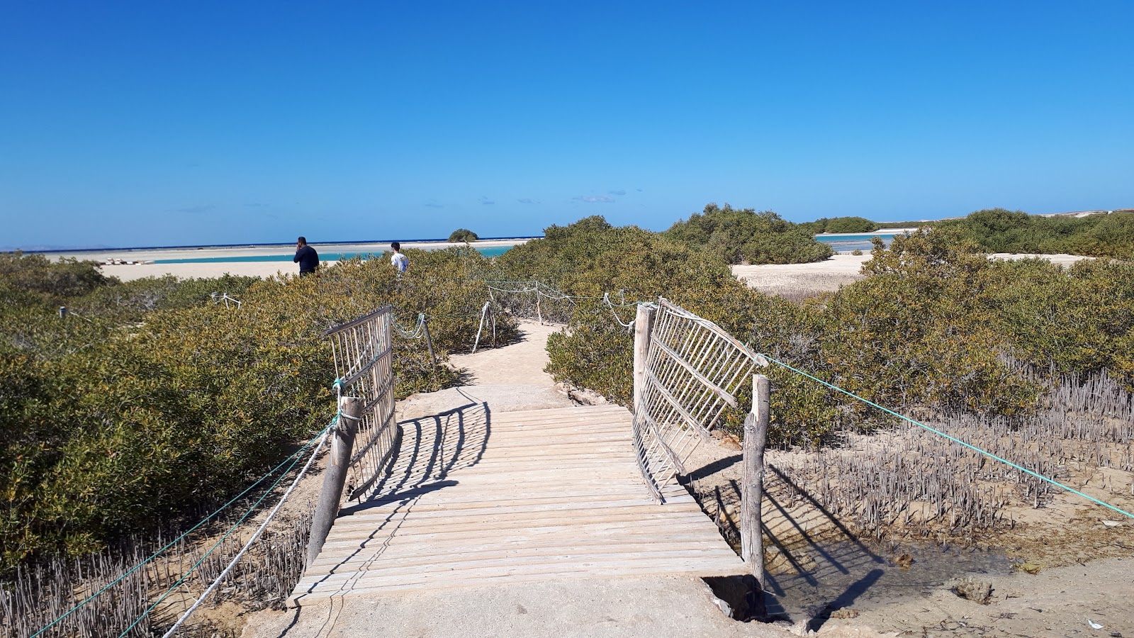 Qulaan Mangrove Beach'in fotoğrafı vahşi alan
