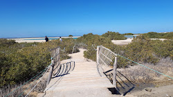 Qulaan Mangrove Beach'in fotoğrafı vahşi alan