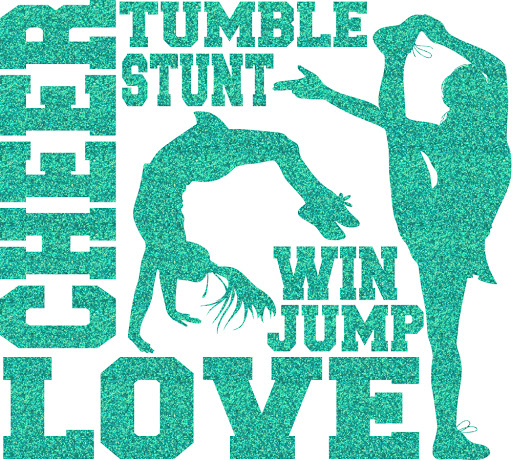 Gymnastics Center «Naperville Gymnastics Club & Dance Academy», reviews and photos, 800 Enterprise Ct, Naperville, IL 60563, USA