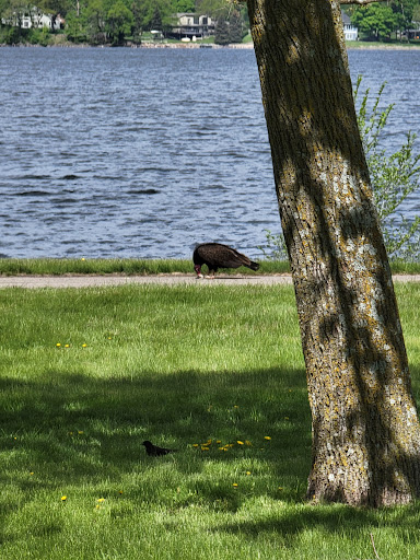 Park «Baker Park Reserve», reviews and photos, 2309 Baker Park Rd, Maple Plain, MN 55359, USA
