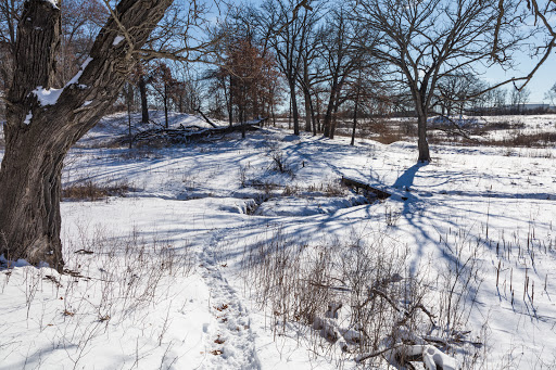 Nature Preserve «Bluff Spring Fen», reviews and photos, Spring Grove Ave, Elgin, IL 60120, USA