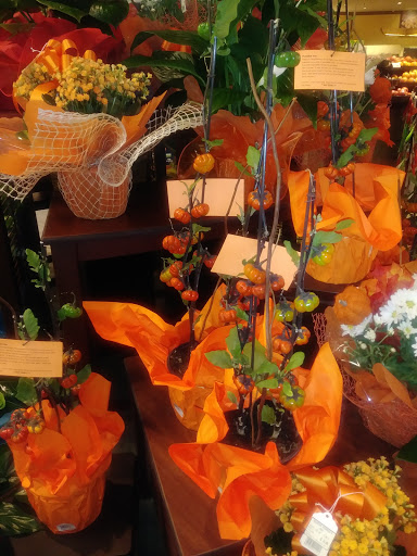 Grocery Store «Vons», reviews and photos, 369 Magnolia Ave, Corona, CA 92879, USA