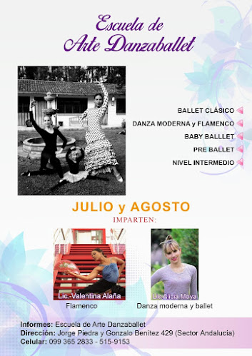 Opiniones de Escuela de Arte Danzaballet en Quito - Escuela de danza