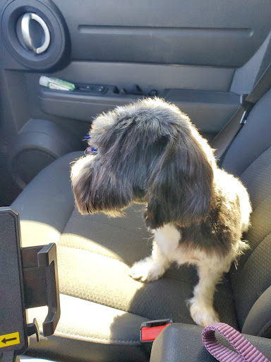 Pet Supply Store «PetSmart», reviews and photos, 9960 N 91st Ave, Peoria, AZ 85345, USA