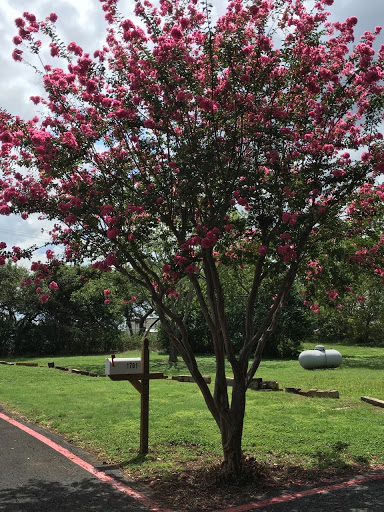 Auto Insurance Agency «Becki Ross - State Farm Insurance», reviews and photos