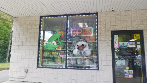 Pet Store «Everything Pets», reviews and photos, 1506 Altamont Ave, Schenectady, NY 12303, USA