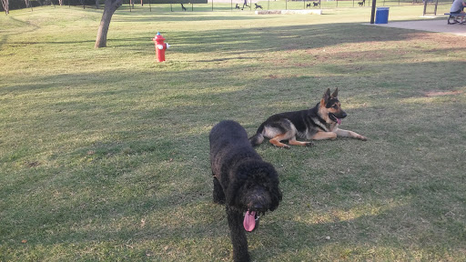 Recreation Center «Rosemeade Recreation Center», reviews and photos, 1330 E Rosemeade Pkwy, Carrollton, TX 75007, USA