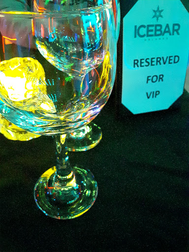 Bar «ICEBAR Orlando», reviews and photos, 8967 International Dr, Orlando, FL 32819, USA