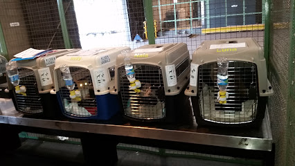 Transporte de Animais