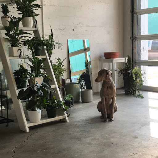 Florist «Grand Avenue Florist», reviews and photos, 1416 SE 8th Ave, Portland, OR 97214, USA