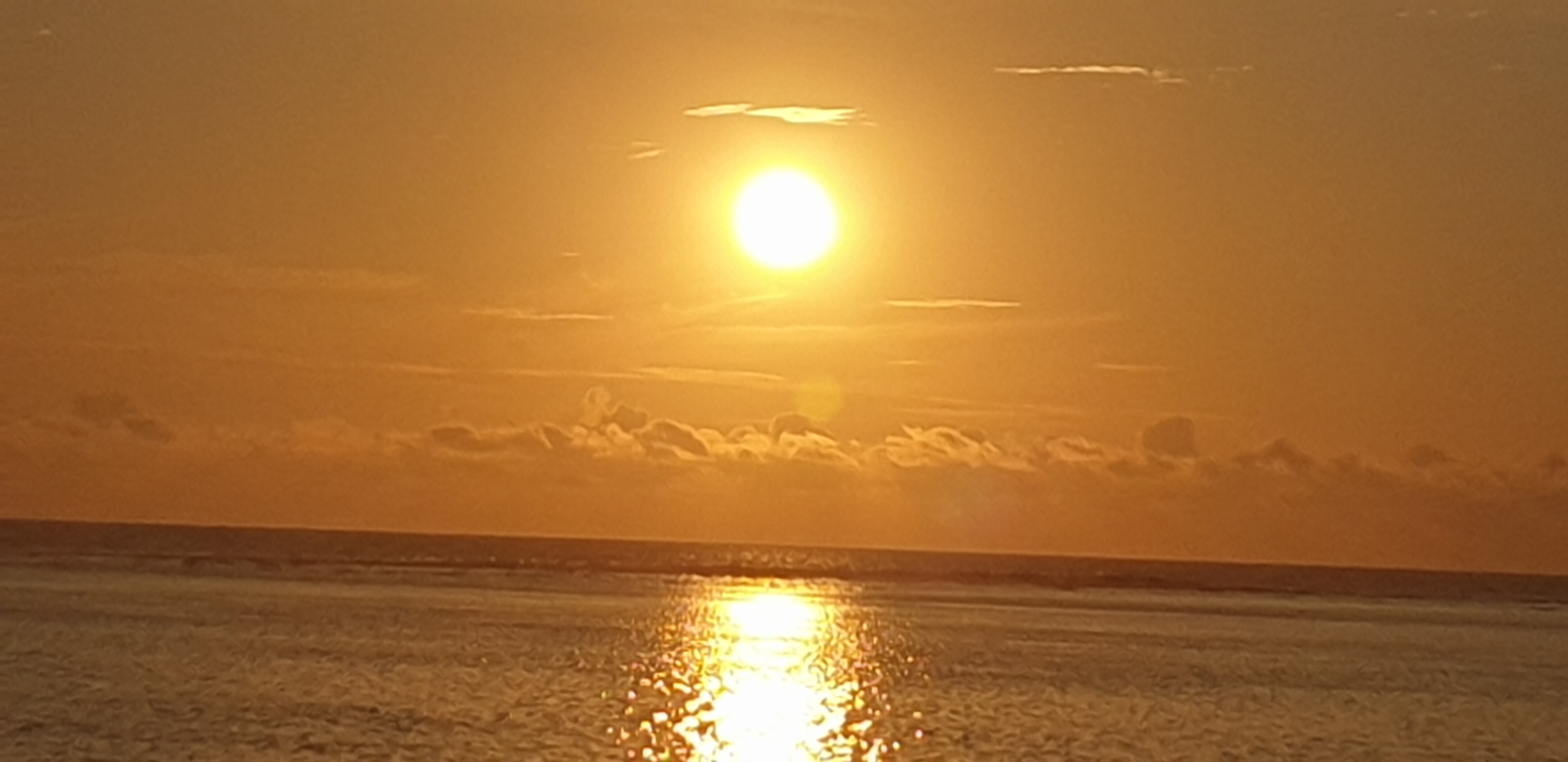 Photo n° 3 de l'avis de Marie-France.l fait le 12/11/2023 à 19:35