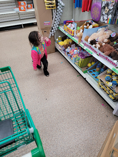 Dollar Store «Dollar Tree», reviews and photos, 1838 Stefko Blvd, Bethlehem, PA 18017, USA