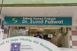 Dr. Sumit Paliwal, Paliwal Homeopathy Clinic | Best homeopathy doctor in Vaishali | Homeopathy clinic in Vaishali image