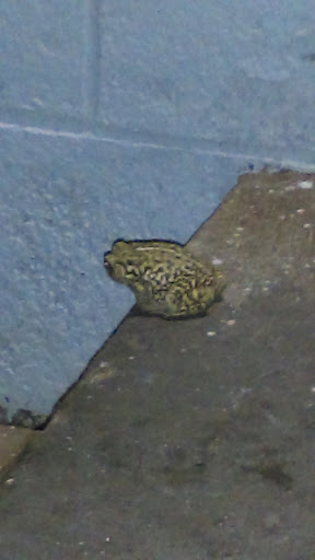 Commercial Printer «Henry Wurst, Inc. Kansas City», reviews and photos, 1331 Saline St, North Kansas City, MO 64116, USA