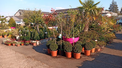 Jardinerie Neilz à Vendôme