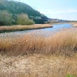 Castle Hill Lakes