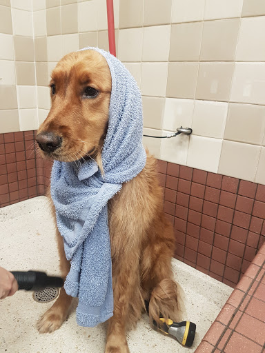 Pet Supply Store «Pet Food Express», reviews and photos, 2531 Fair Oaks Blvd, Sacramento, CA 95825, USA