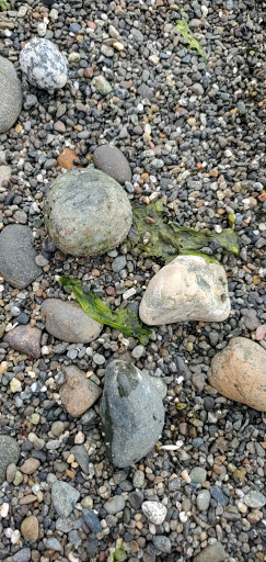 Park «Seahurst Park», reviews and photos, 1600 SW Seahurst Park Rd, Burien, WA 98166, USA