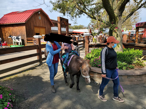 Childrens Farm «Best Long Island Pumpkin Picking», reviews and photos, 250 Old Country Rd, Melville, NY 11747, USA