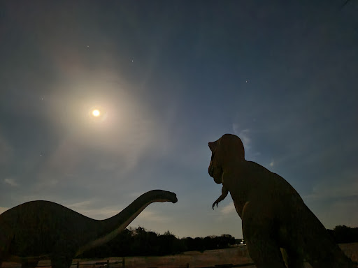 Gift Shop «Dinosaur Valley State Park Store», reviews and photos, 1629 Park Rd 59, Glen Rose, TX 76043, USA