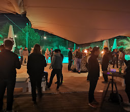 Haubentaucher Berlin photo