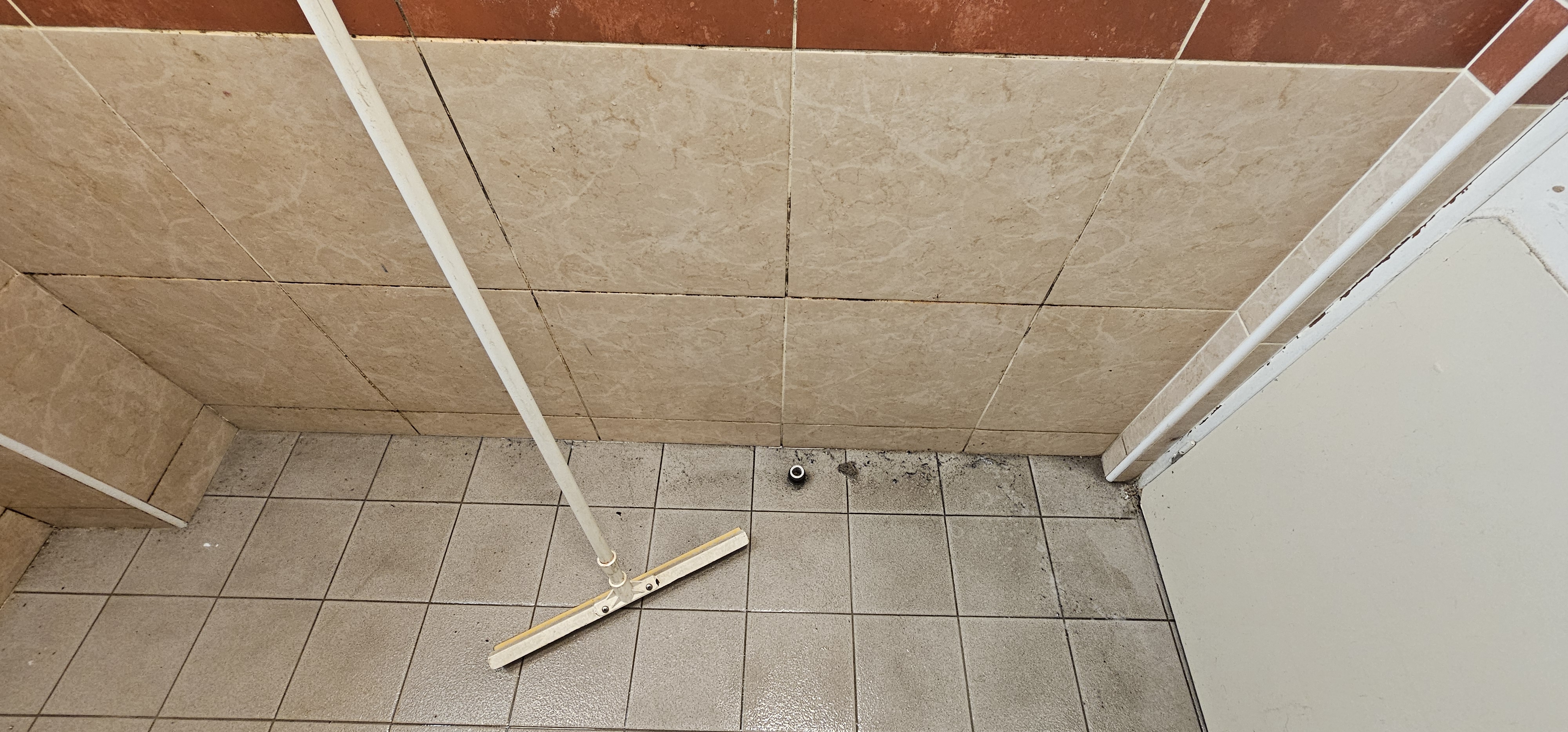 Photo n° 3 de l'avis de Rares.o fait le 27/01/2024 à 15:33