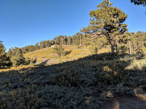 San Bernardino Peak Trail 1W07