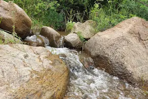 Pulimedu waterfalls image