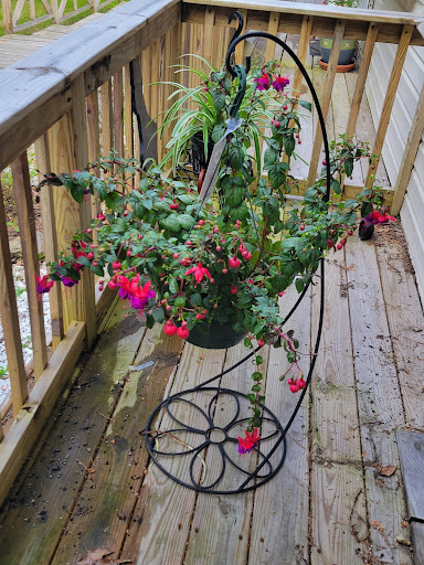 Garden Center «Liberty Agway Home & Garden Center», reviews and photos, 11 Bon Jovi Ln, Liberty, NY 12754, USA