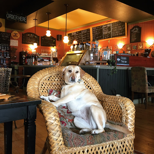 Coffee Shop «Dancing Turtle Coffee Shop», reviews and photos, 58079 NC-12, Hatteras, NC 27943, USA