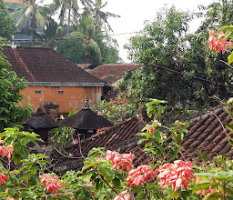 Dani Home Stay photo